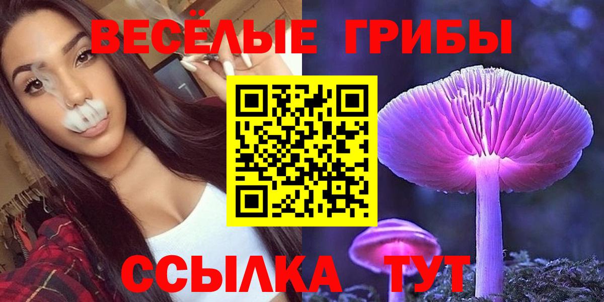 Галлюциногенные грибы Psilocybe Улан-Удэ
