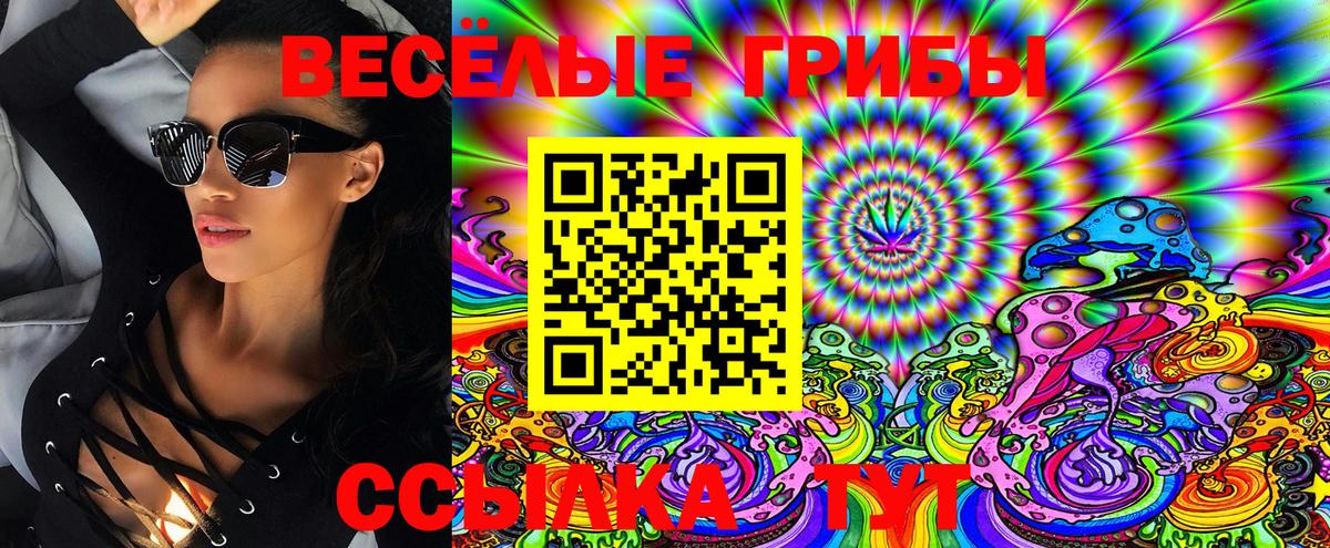 Улан-Удэ  Галлюциногенные грибы Cubensis  Вход с VPN  Псилоцибиновые грибы MAGIC MUSHROOMS 